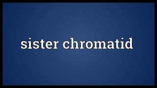 Sister chromatid Meaning [upl. by Groot]