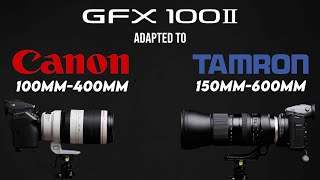 GFX 100 II Telephoto Lenses  Canon 100400mm and Tamron 150600mm [upl. by Hen67]