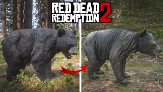 Everything You Need To Know About The Camp in Red Dead Redemption 2  Red Dead Redemption 2 Gameplay [upl. by Emmeline]