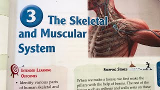 Ch3 The Skeletal and Muscular System Class5 Universal Science St Joseph covent School CBSE [upl. by Yreffeg]