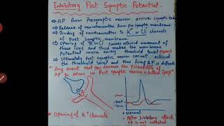 Inhibitory post synaptic potentials cc zol 512 lecture no 21 [upl. by Nitsyrc]