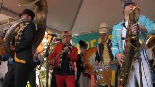 Mucca Pazza plays quotBumpquot [upl. by Innavoeg]