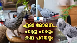 Talking Parrot  അതിഥിയായെത്തിയ കുട്ടൂസ് എന്ന തത്ത പറയുന്നത് കേട്ടോ [upl. by Perkoff]