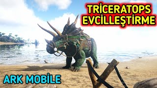 İTİCİ GÜÇ TRİCERATOPS  TRİCERATOPS EVCİLLEŞTİRME  ARK Survival Evolved [upl. by Attenborough]