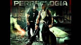 Alexis Y Fido  Donde Estes Llegare Perreologia Reggaeton 2011 Letra [upl. by Ahsikit]