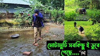 মোটামুটি সবকিছু ই ডুবে গেছে🐄 [upl. by Ydok]