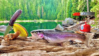 WILD Mountain Trout Fishing amp Mushroom Foraging 72H SOLO Catch Cook Camp [upl. by Ydaj]