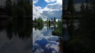 fichtelsee fichtelgebirge lake water autumn newshorts bavaria [upl. by Desi]