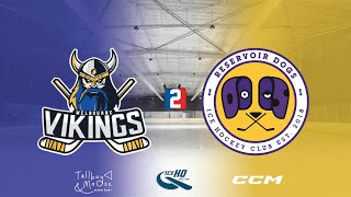 Vikings v Reservoir Dogs  Div 2  21st October  iceHQ Rec League ice hockey [upl. by Hubsher]