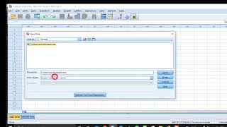 How to import Likert scale questionnaire into SPSS [upl. by Oicinoid]