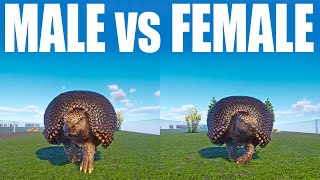 Male Lesser Glyptodon vs Female Lesser Glyptodon A male vs female Speed Race in Planet Zoo [upl. by Nosreh]