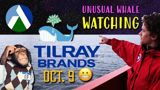 Tilray Brands Unusual Activity for October 9 Before Earnings [upl. by Meehsar]