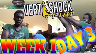 VERT SHOCK Pro Pre Shock PhaseWeek 1 Day 3FOLLOW ALONG [upl. by Eiramalegna]