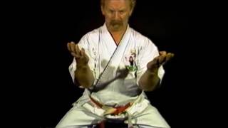 004 Don Shapland 1988 Isshinryu Seiuchin [upl. by Aufmann420]