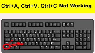 Solve CtrlA CtrlV CtrlC Not Working Problem  Solve Keyboard Not Working Problem Windows 1087 [upl. by Ecyaj]