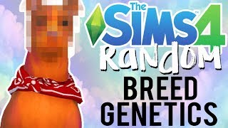 The Sims 4 Random Genetics Challenge Dog Breed Mixer Edition [upl. by Evad908]