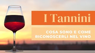 I Tannini cosa sono e come riconoscerli nel vino [upl. by Arteid898]