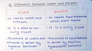 What is the difference between xylem and phloem  Xylem Tissue And Phloem Tissue [upl. by Nirel]