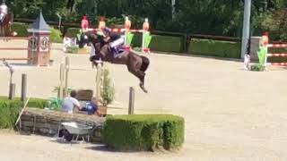 Galerius 2nd in 7yrs in Valkenswaard [upl. by Werner]