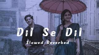 Dil Se Dil Slowed Reverbed [upl. by Hallagan536]