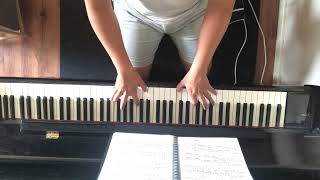 DAY THIRTEEN Chopin Etude Op 10 No 3 and Liszt Liebestraum No 3 [upl. by Eidna579]