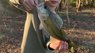 Bass Fishing North Alabama creek Tennessee River tributary Catching some 2 pounders on Wacky Rigs [upl. by Reger179]