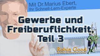 Gewerbe und Freiberuflichkeit ● Teil 3 Zusammenhang von Gewerbe und Kaufmannseigenschaft [upl. by Ykciv]