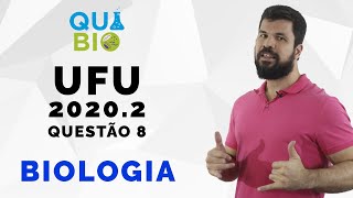 UFU 20202  Questão 8  A figura a seguir demonstra a representação esquemática das diferentes [upl. by Aiceled201]