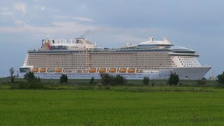 River Ems Conveyance QUANTUM OF THE SEAS  Emsüberführung [upl. by Pinsky]