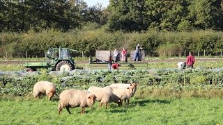 Alternative Formen der Landwirtschaft  Werkstatt Zukunft [upl. by Edison]