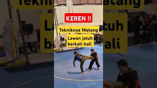 Teknik Persinas pencaksilat tekniksilat shortvideo [upl. by Croix]