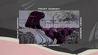 hippie sabotage  trust nobody edit audio [upl. by Lynnell]