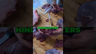 Venison Cuts that I use for Canning canning venison recipe [upl. by Ivett344]