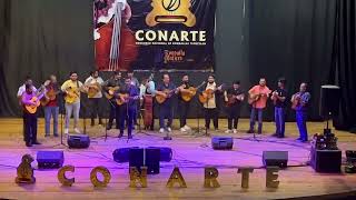 El Triunfo del Perdedor  Rondalla del Sector Educativo de Culiacán Sin EN VIVO [upl. by Socrates]