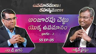 The Parable of the Fig Tree  Part 2  Secrets of the Parables  S5 EP05  Subhavaartha TV [upl. by Jolene]