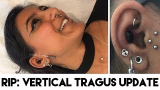 Vertical Tragus Piercing Update  Why I Retired My Surface Tragus Piercing  Healing Experience [upl. by Miahc]