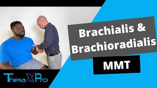 Manual Muscle Test  Brachialis and Brachioradialis [upl. by Belak574]