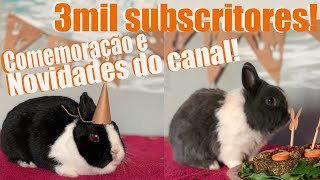 COMO FAZER DECORAÃ‡Ã•ES DE ANIVERSÃRIO PARA COELHOS  3000 SUBSCRITORESNOVIDADES DO CANALðŸŽ‰ [upl. by Anek722]