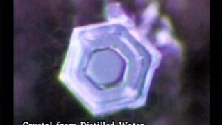 Messages From Water Full Film  Masaru Emoto  The GOYS Life [upl. by Rihsab]