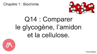 Chapitre 1  Biochimie  Q14  Comparer le glycogène lamidon et la cellulose [upl. by Nosnah]