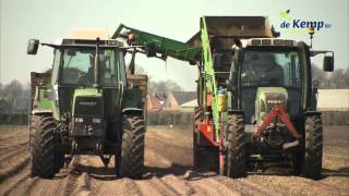 Bedrijfsfilm aspergeplanten Plantenkwekerij de Kemp [upl. by Oirazan]