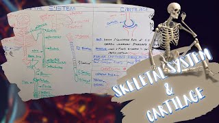 Introduction to Skeletal System amp Cartilage شرح بالعربى [upl. by Nangatrad]