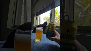 Hawkers  West Coast IPA 72  abv craftbeer cat beer [upl. by Anailuy356]