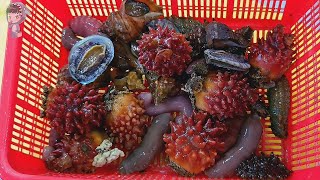 street food asmr food fish cutting korean food asian seafood korea sashimi making video 060722 3 [upl. by Rama]