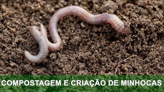 COMPOSTAGEM E CRIAÇÃO DE MINHOCAS [upl. by Felicidad]