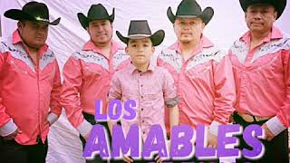 LOS AMABLES DE TAMPS CUMBIA BARULERA [upl. by Zsamot829]