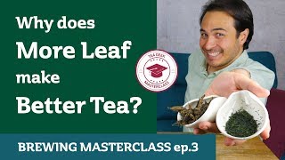 Why Does MORE LEAF MAKE BETTER TEA  Brewing MASTERCLASS [upl. by Crofton676]