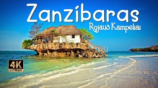 Kelionė į Zanzibarą Rojaus kampeliai vietinių gyvenimas ir įdomūs žvejų kaimeliai [upl. by Hannah539]