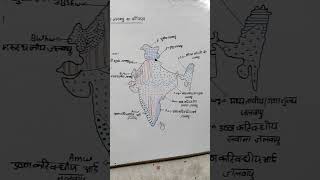 koppenindian climate classification of koppenkoppen ke anusar bharat ka jal ayu vargikaran [upl. by Ahsirtal]