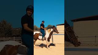 Men skewbald mares and horseriding lessons ygequestrian [upl. by Roselle109]